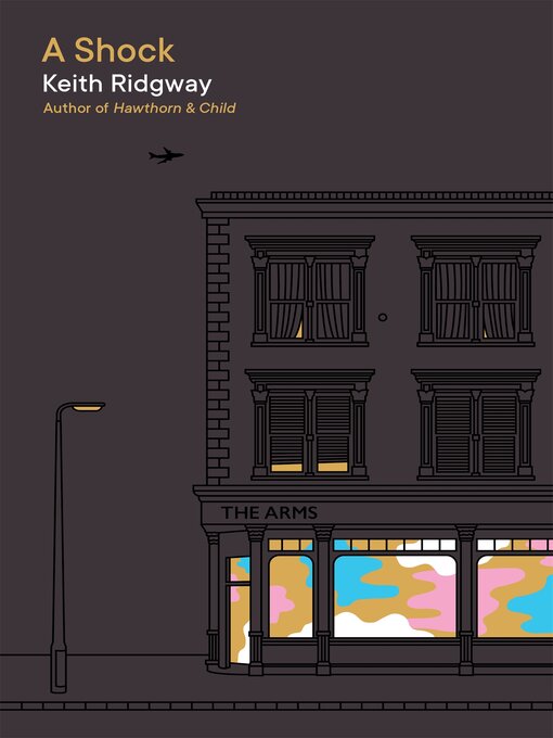 Title details for A Shock by Keith Ridgway - Wait list